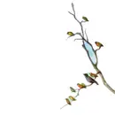 CD - Static Films - Love Of Light