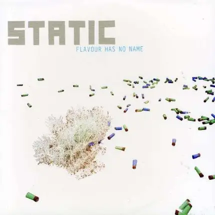 Static - Flavour Has No Name