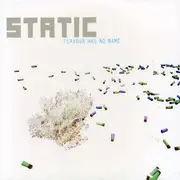 CD - Static - Flavour Has No Name