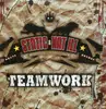 CD - Static & Nat Ill - Teamwork