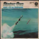 7inch Vinyl Single - Status Quo - What You're Proposing - German Cover