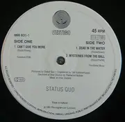 12inch Vinyl Single - Status Quo - Can't Give You More
