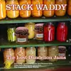 LP - Stack Waddy - The Lost Dandelion Jams - RED VINYL 400 COPIES ONLY
