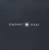 LP - STAGNANT POOLS - TEMPORARY ROOM - 180gr Vinyl mit Downloadcode!