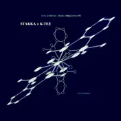 Stakka - Titanium / Polarised