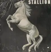 Stallion - Stallion