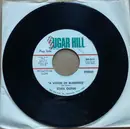 7inch Vinyl Single - Stan Gunn - A Vision Of Blindness / We're All The Same Size