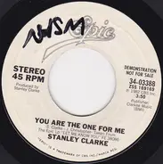 Stanley Clarke - You Are The One For Me