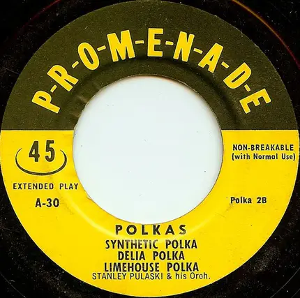 Stanley Pulaski And His Orchestra - Polkas