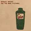 LP & MP3 - Stanley And The Wave Pictur Brinks - Gin