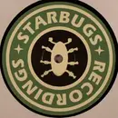 12inch Vinyl Single - Starbug - Formvier