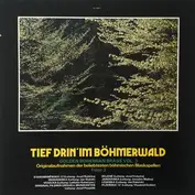 Starobrněnská 12°