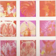LP - Startled Insects - Curse Of The Pheromones - gimmick cover