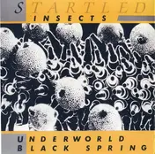 Startled Insects - Underworld / Black Spring