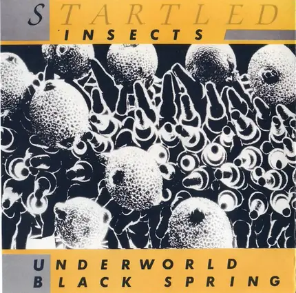 Startled Insects - Underworld / Black Spring