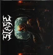 Stass - New Dead World Order