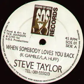 Steve Taylor - When Somebody Loves You Back