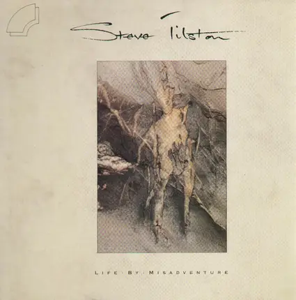 Steve Tilston - Life by Misadventure
