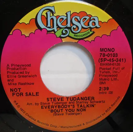 Steve Tudanger - Everybody's Talkin' Bout You Now