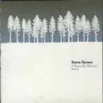 Steve Turner - A BEAUTIFUL WINTER