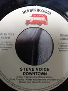 7inch Vinyl Single - Steve Voice - (Why Don't You) Call Me - Mispress