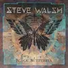 Double LP - Steve Walsh - Black Butterfly - Gold, 180g