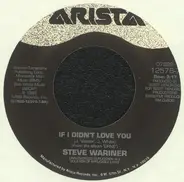 Steve Wariner - If I Didn't Love You / The Same Mistake Again