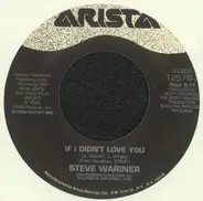 Steve Wariner - If I Didn't Love You / The Same Mistake Again