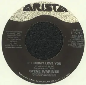 Steve Wariner - If I Didn't Love You / The Same Mistake Again