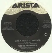 Steve Wariner - Like A River To The Sea / On My Heart Again