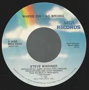 Steve Wariner - Where Did I Go Wrong