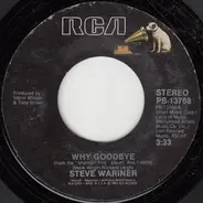 Steve Wariner - Why Goodbye