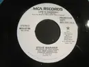 7inch Vinyl Single - Steve Wariner - Life's Highway
