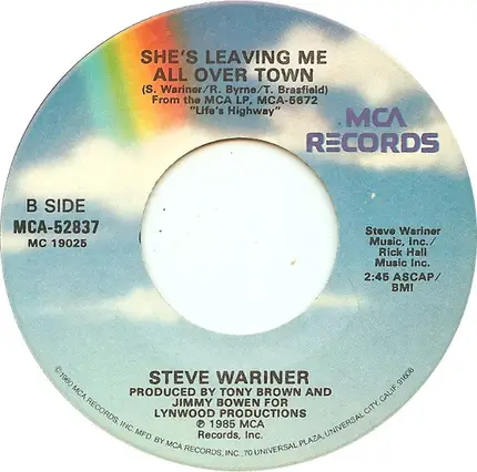 Steve Wariner - Starting Over Again