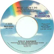 7inch Vinyl Single - Steve Wariner - What I Didn't Do