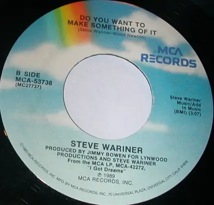 Steve Wariner - When I Could Come Home To You