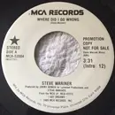 7inch Vinyl Single - Steve Wariner - Where Did I Go Wrong
