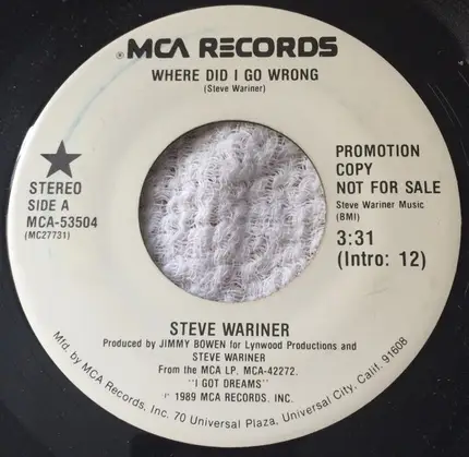 Steve Wariner - Where Did I Go Wrong