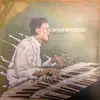 LP-Box - Steve Winwood - Greatest Hits Live
