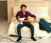 Steve Winwood - Spy In The House Of Love