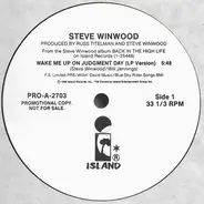 Steve Winwood - Wake Me Up On Judgment Day
