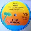 12'' - Steve Winwood - While You See A Chance