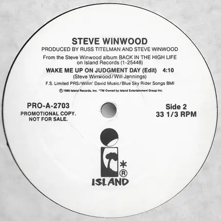 Steve Winwood - Wake Me Up On Judgment Day