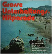 Steve Wolfe / Twardy / Bellotte a.o. - Grosse Unterhaltungs-Hitparade