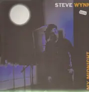 Steve Wynn - My Midnight