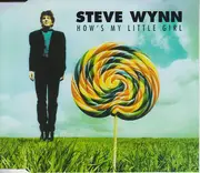 CD Single - Steve Wynn - How's My Little Girl