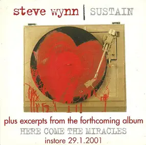 Steve Wynn - Sustain (Plus Excerpts From The Forthcoming Album Here Come The Miracles)