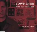 CD Single - Steve Wynn - There Will Come A Day