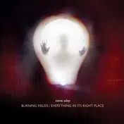 Steve Adey - EVERYTHING IN IT'S RIGH