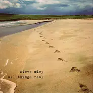 Steve Adey - All Things Real